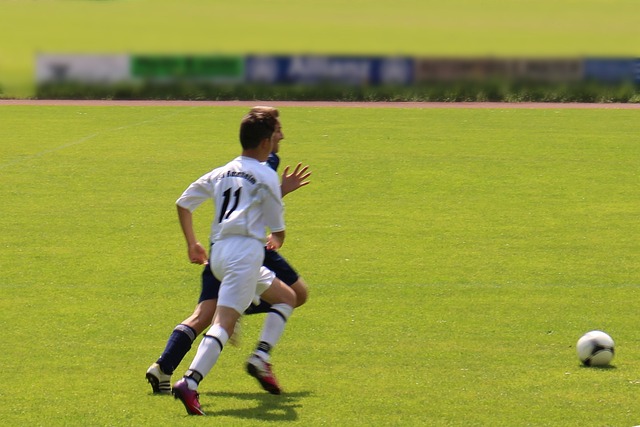 深圳男篮官宣：澳大利亚籍教练迈克尔·凯利出任25-26赛季主教练