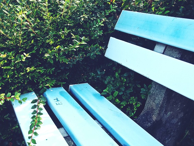 无疑是更为 无疑是更为