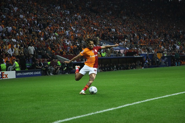 的一部分 的一部分