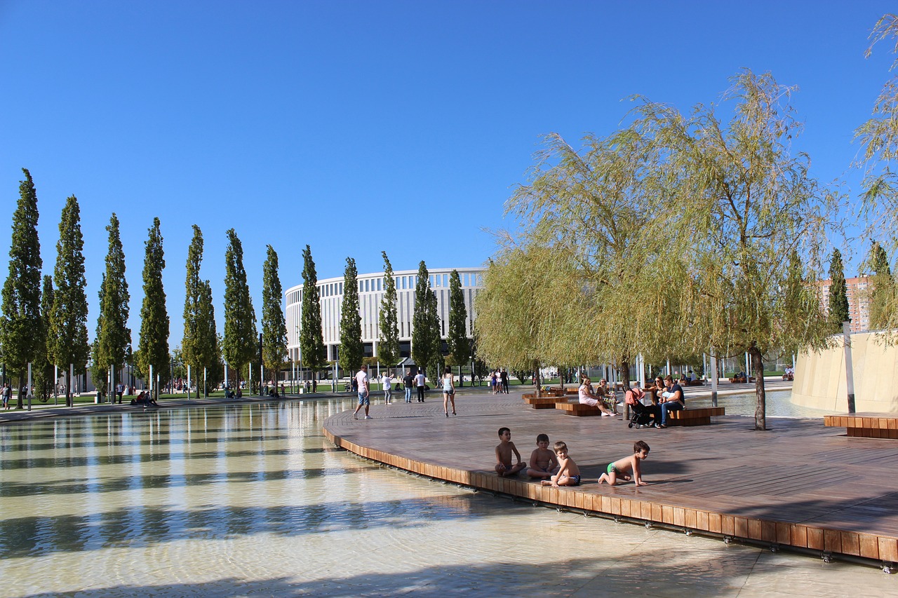 带争夺战 带争夺战