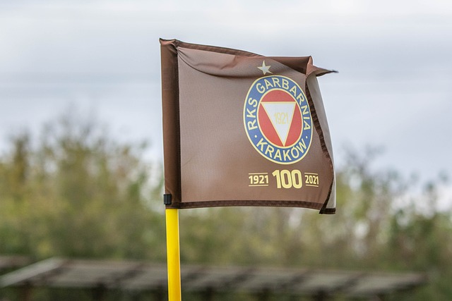 他的加盟无 他的加盟无