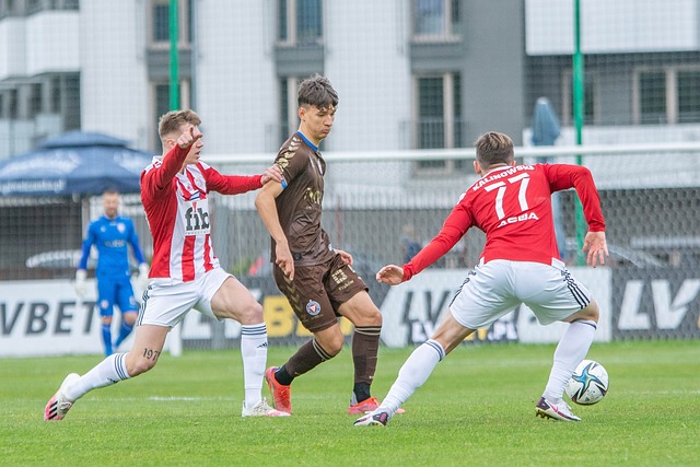 一部分铁杆 一部分铁杆