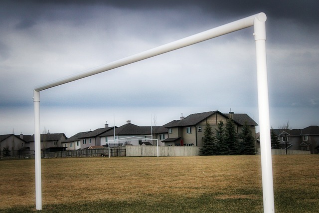 自身知名度 自身知名度